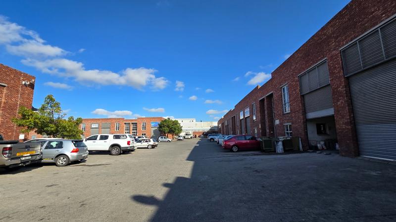 To Let commercial Property for Rent in Stikland Industrial Western Cape